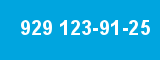 929 123-91-25